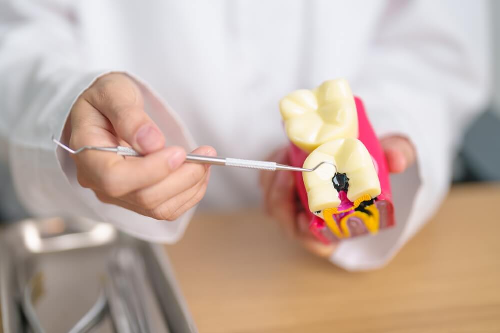 remove tooth decay | prevent tooth loss | maintain oral health